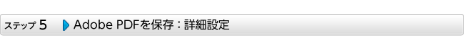 Adobe PDFを保存 ： 詳細設定