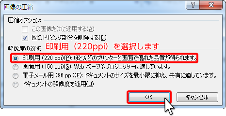 印刷用（220ppi）にチェック