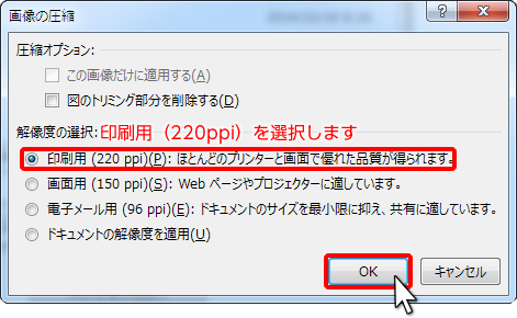 印刷用（220ppi）にチェック